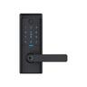 Ascent Smart Entrance Lever Black Finish