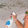 Indoor Mould Remover
