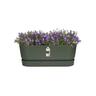 Plastic Trough with Saucer Green 50cm