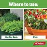 Fruit & Vegie Insecticide Ready To Use Gun