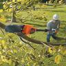 18V POWERCONNECT™ Cordless 20cm Pole Saw Kit with 2.0Ah Battery