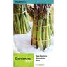 Asparagus Atlas Pack of 5