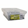 Treated Pine Screws 8g x 40mm Pack of 500 Galvanised