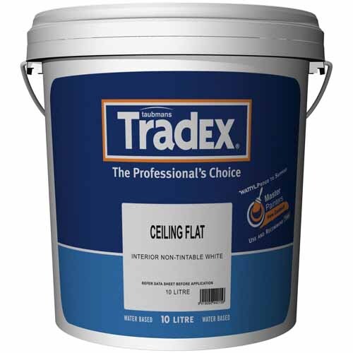 Ceiling Paint
