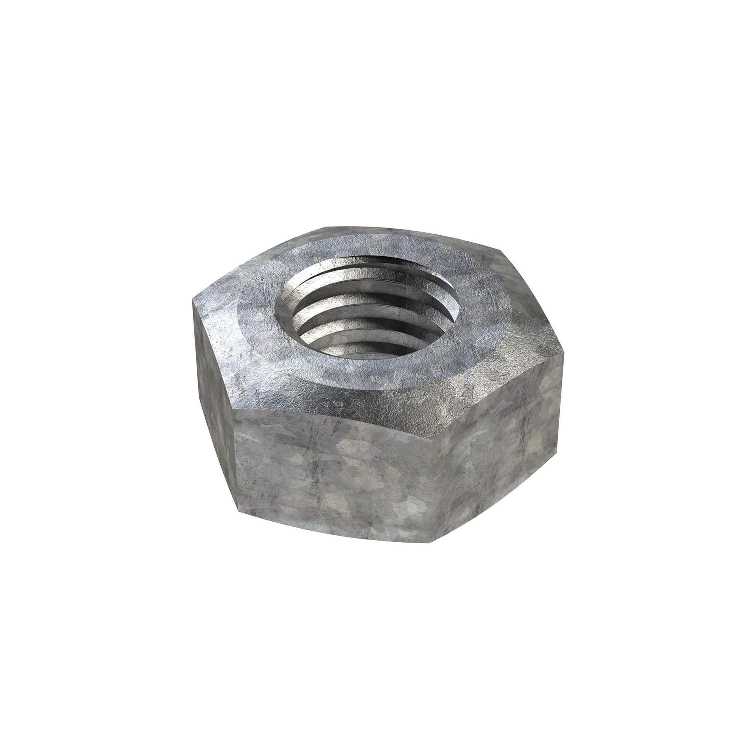 Hex Nuts