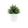 Artificial Eucalyptus Plant in Pot 12.5cm