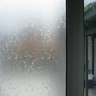 Window Film 675mm x 2m Leaves