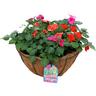 Ready to Hang Basket 30cm