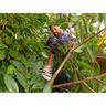 600W 60cm Hedge Trimmer With SAWBLADE™