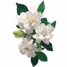 Gardenia Four Seasons