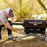 Portable Charcoal Grill with Cart