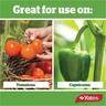 Tomato Liquid Plant Food