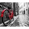 Splashback Bike H: 750mm, W: 600mm Black, White & Red