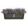 Plastic Trough with Saucer Green 70cm