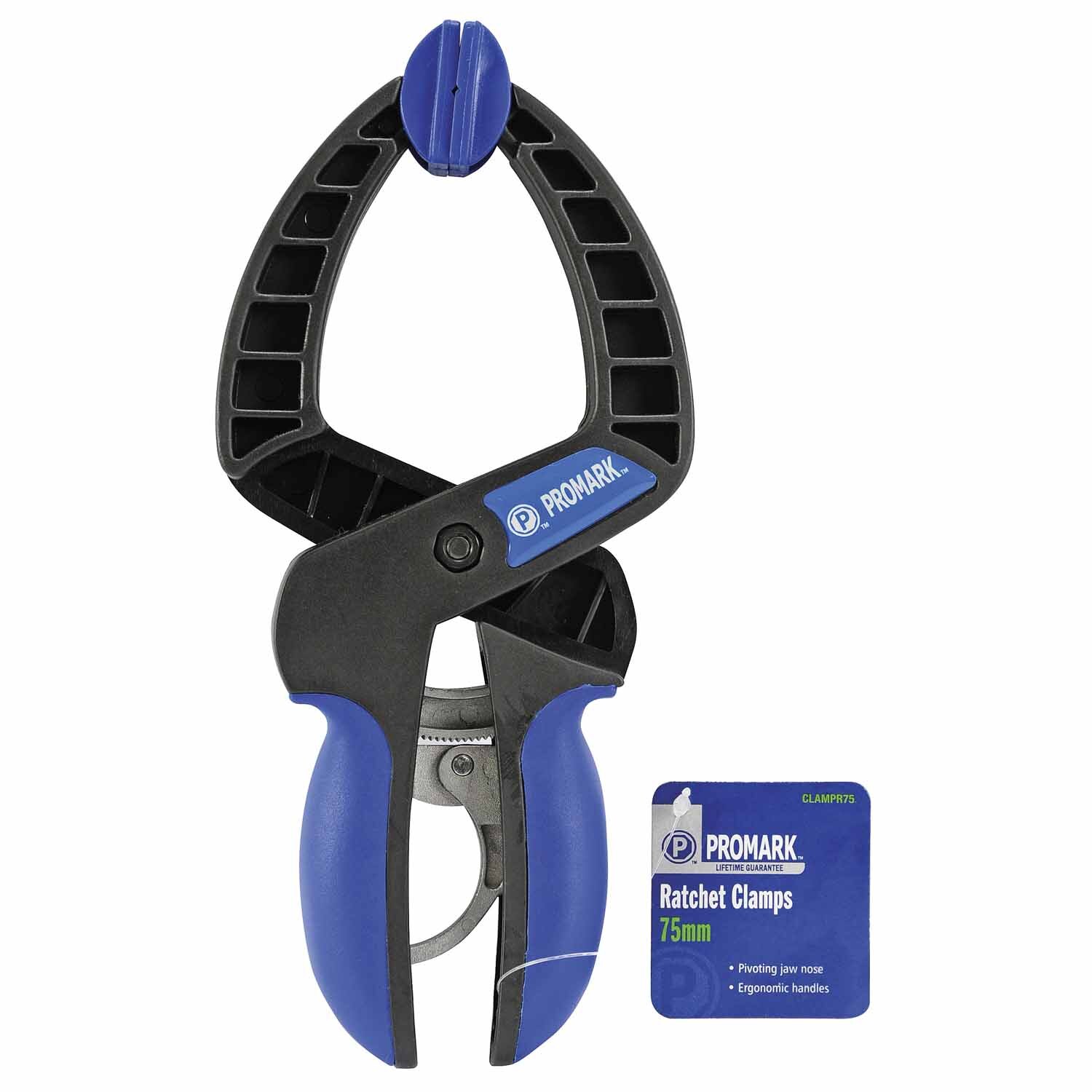 Ratchet Clamp