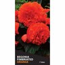 Begonia Fimbriated 'Orange'