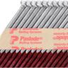 Collated Nails Value Pack with Fuel Cells