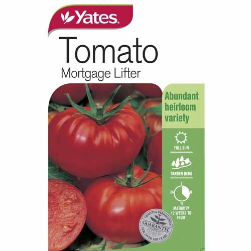 Tomato 'Mortgage Lifter'