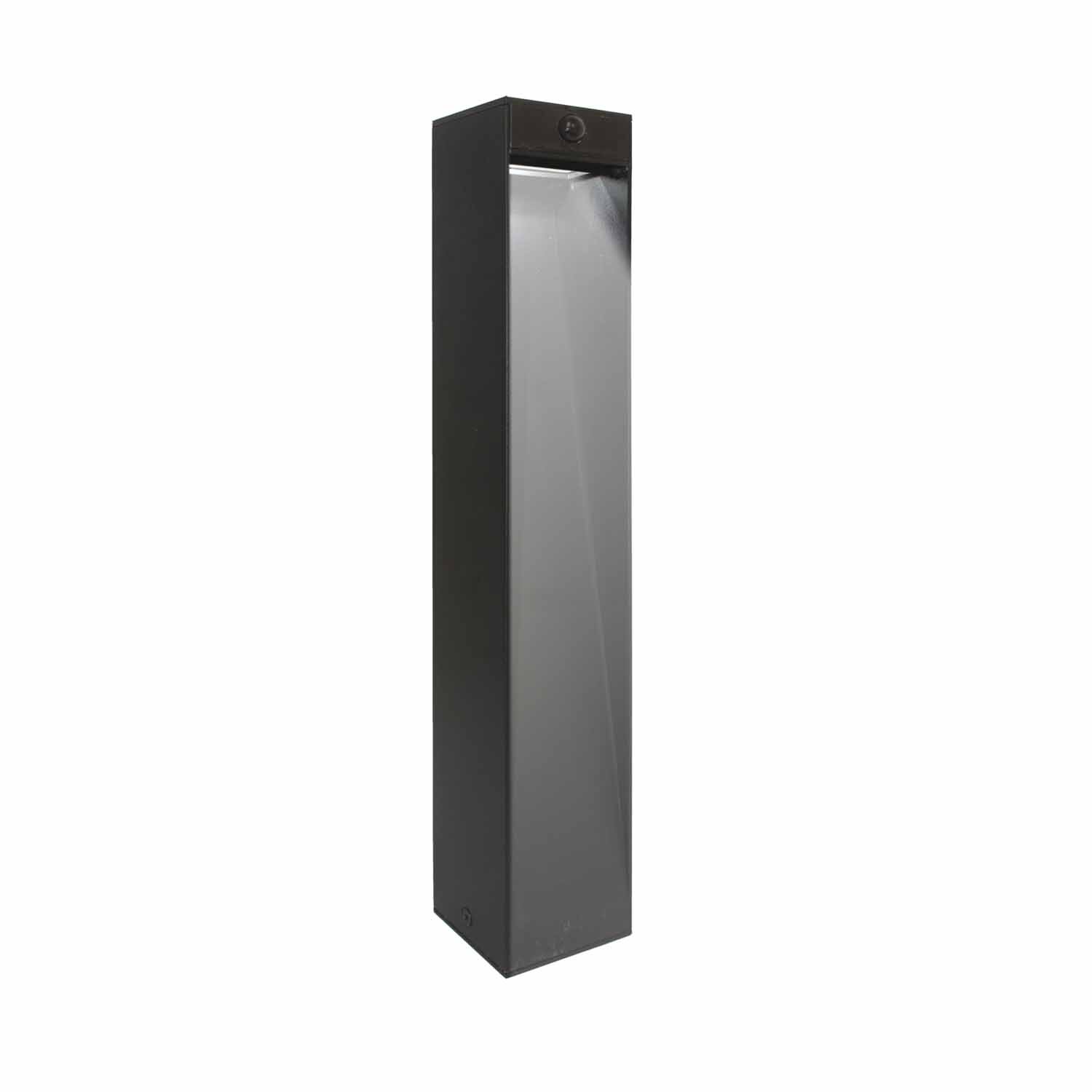 Pathway Light With Motion Sensing
