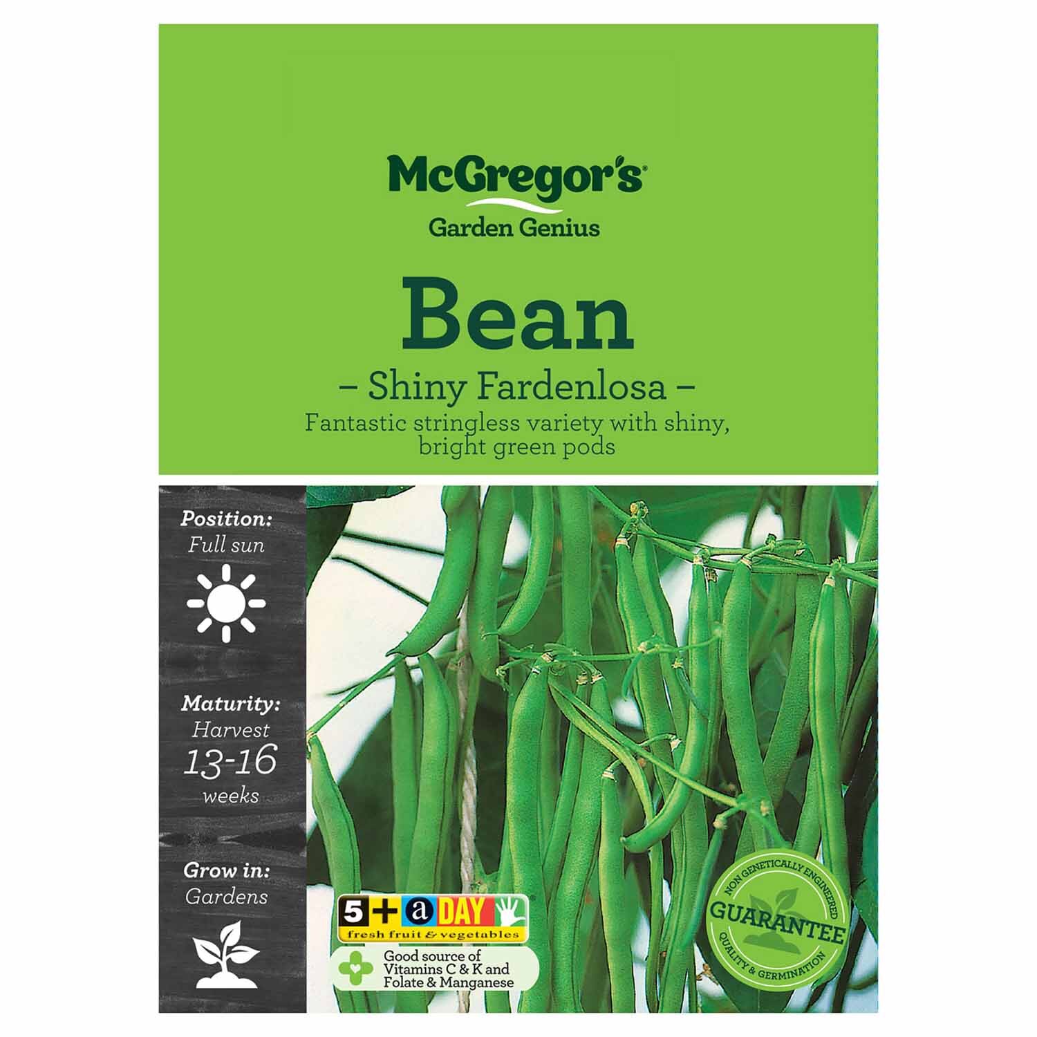 Shiny Fardenlosa Bean  Vegetable Seed
