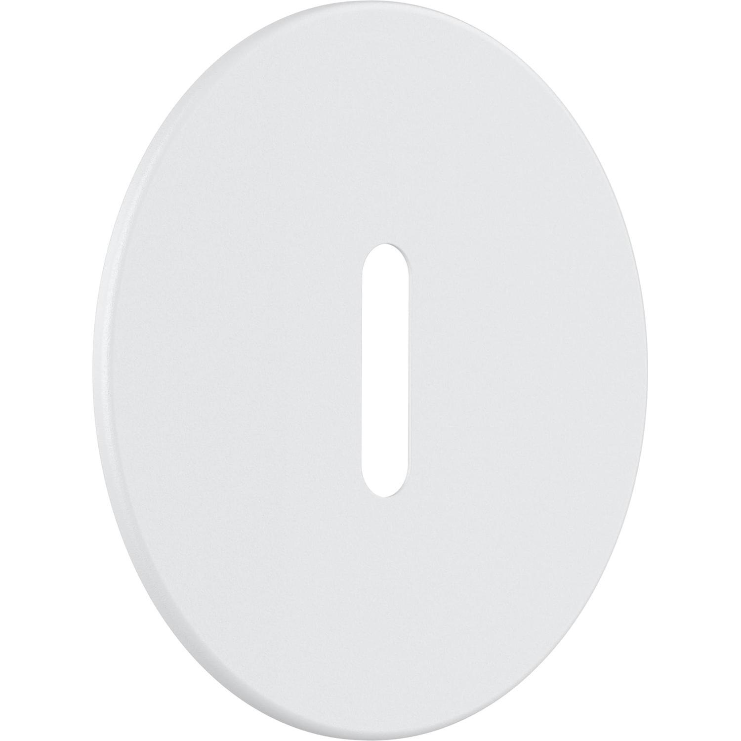 Strip Faceplate  White
