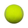 Tennis Ball 24cm