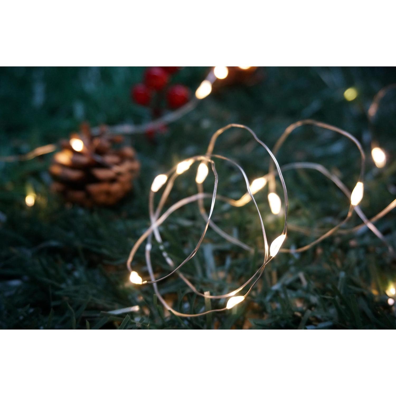 Battery Seed Ligths
