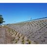 Erosion Control Matting