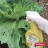 Citrus, Vegie & Ornamental Insect Spray