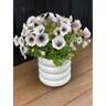 Petunia Matariki Magic