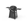 Family Q Plus 3100N+ BBQ