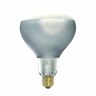 Heat Lamp 275 Watt Warm White