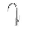 Maia Gooseneck Sink Mixer  Chrome