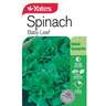 Spinach 'Baby Leaf'