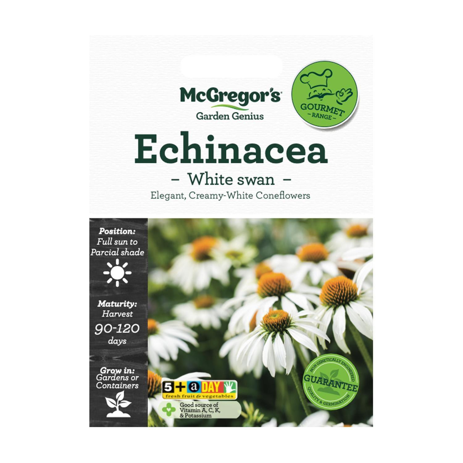 Echinacea White Swan Flower Seed