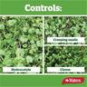Hydrocotyle Killer