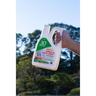 Lichen, Moss And Mould Remover Concentrate