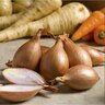 Shallot French Red