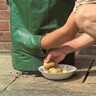 Potato Tubs 2 pack