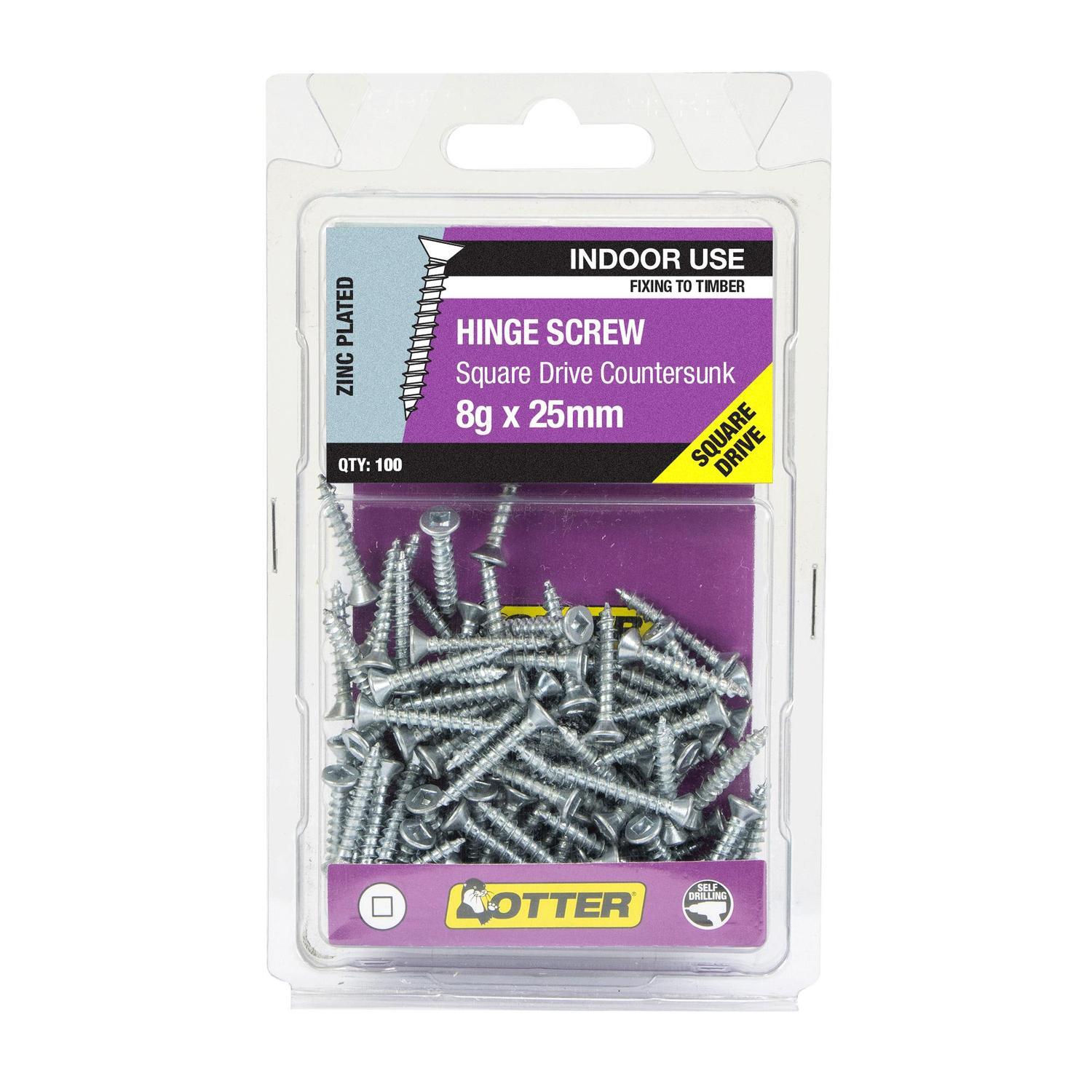 Hinge Screws