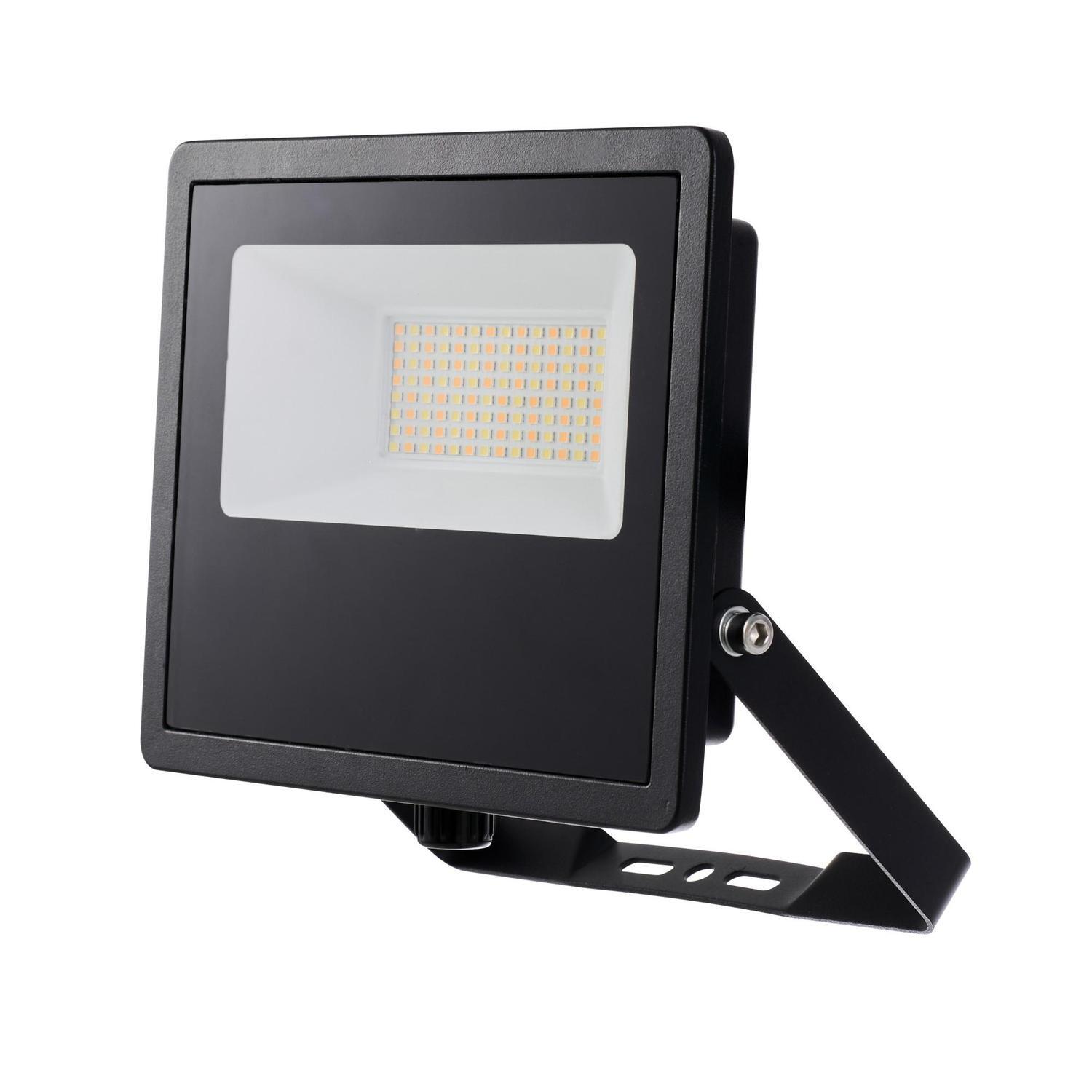 30/50W Dual Power Floodlight