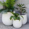Round Ribbed Resin Pot L White