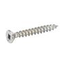 Hinge Screws