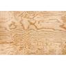 Flooring Plywood Tongue and Groove CD H3.2 Treated 2400 × 1200 × 21mm