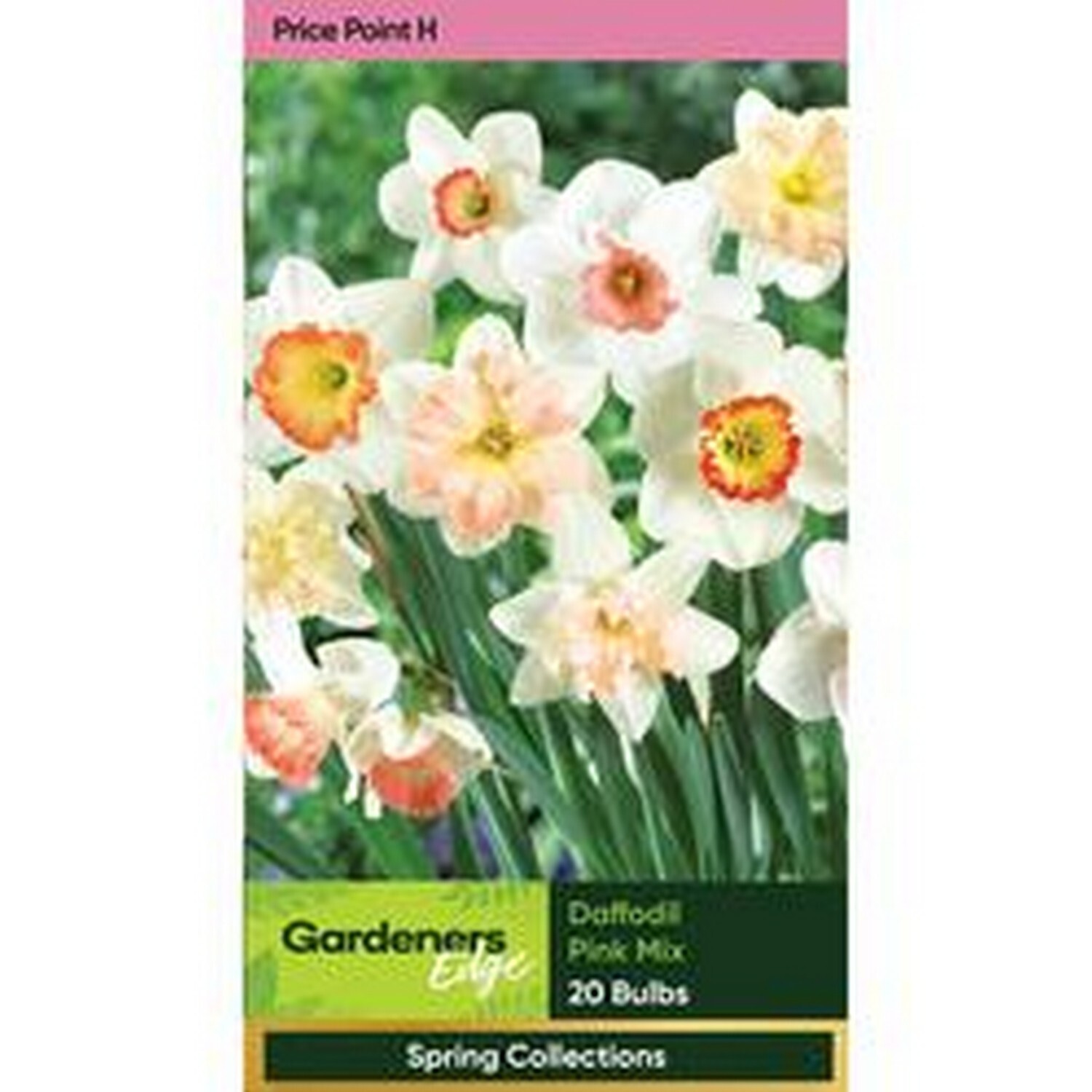 Daffodil 'Pink Mix'