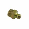 Grease Nipple Briggs Straight