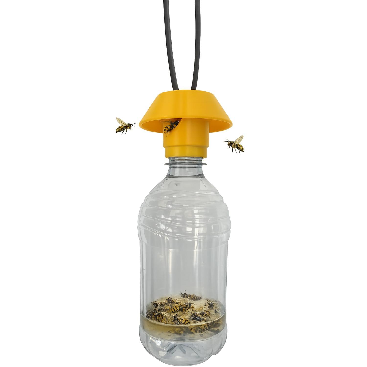 Reusable Wasp Trap