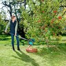 Combisystem Fruit Collector