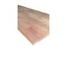 Utility Benchtop H:26mm, W:605mm, L:2200mm Grandis