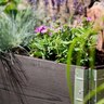 Raised Garden Bed